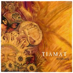 Tiamat: Whatever That Hurts (live in Stockholm 1994 - remastered)