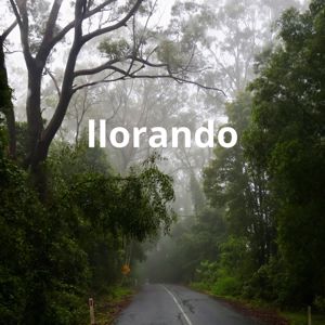 La Freza Rd: llorando