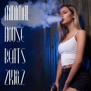 Various Artists: Minimal House Beats 2k18, Vol. 2