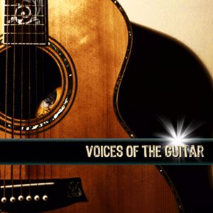 New Nashville Acoustic All Stars: Voices of the Guitar