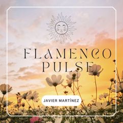 Javier Martinez: Flamenco