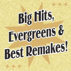 Various Artists: Big Hits, Evergreens & Best Remakes!