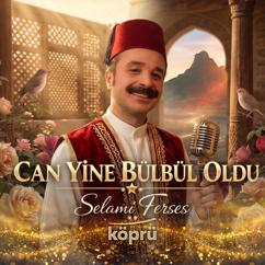 Selami Ferses: CAN YİNE BÜLBÜL OLDU