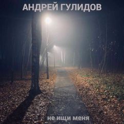 Андрей Гулидов: Не ищи меня
