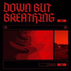 Down But Breathing: Dead Land Signal