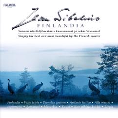 Finlandia Sinfonietta: Sibelius : Scene with Cranes, Op. 44 No. 2