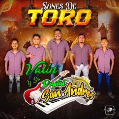 Valin Y Su Digital San Andrés: Sones De Toro