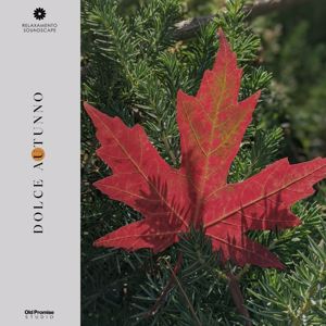 Relaxamento Soundscape: Dolce Autunno