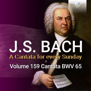 Netherlands Bach Collegium, Holland Boys Choir & Pieter Jan Leusink: J.S. Bach: Sie werden aus Saba alle kommen, BWV 65