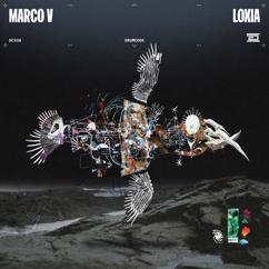 Marco V: Loxia