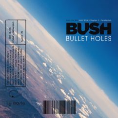 Bush: Bullet Holes