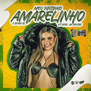 KS SHEIK & MC BEATRIZ: Meu Pintinho Amarelinho X Remix Rj