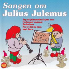 Rico Sound: Sangen om Julius julemus