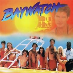 David Hasselhoff: Days of Our Love