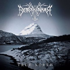 Borknagar: Voices