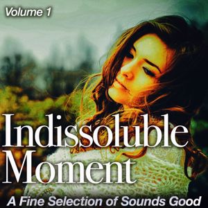 Various Artists: Indissoluble Moment, Vol. 1