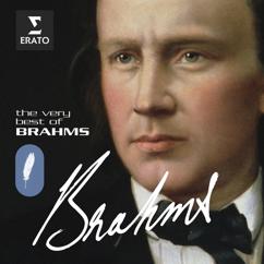 Jean-Bernard Pommier, Jaime Laredo: Brahms: Violin Sonata No. 3 in D Minor, Op. 108: II. Adagio