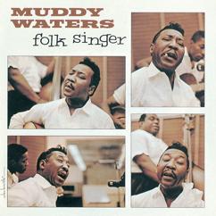 Muddy Waters: Long Distance