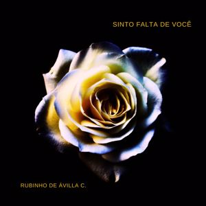 Rubinho De Ávilla C: Sinto Falta de Você