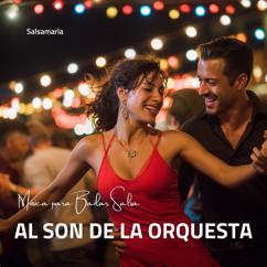 Salsamaria: Música para Bailar Salsa: Al Son de la Orquesta