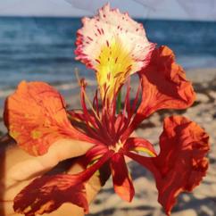 Yoga Alice: Мы вяжем любовь