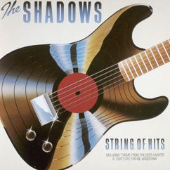 The Shadows: The Theme from 'The Deer Hunter' (Cavatina)