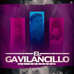 La Ventura, Grupo La Marcha: El Gavilancillo (En Vivo)