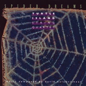 Turtle Island String Quartet: Spider Dreams