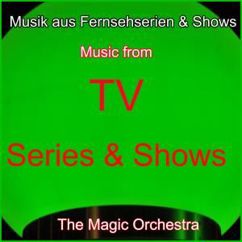 The Magic Orchestra: Das Traumschiff