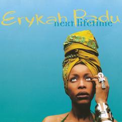 Erykah Badu: Next Lifetime (Instrumental)