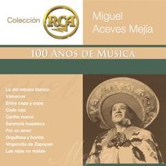 Miguel Aceves Mejia: Caminos De Guanajuato