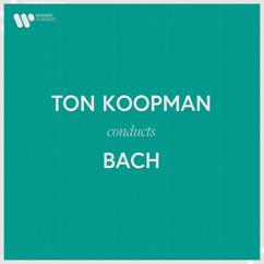 Ton Koopman: Bach, JS: Violin Concerto No. 1 in A Minor, BWV 1041: II. Andante