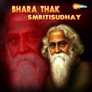Pratap Roy: Akash Bhara Surya Tara Instru