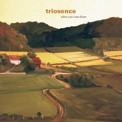 Triosence: Long Fall - Part II (Strength From Sadness)