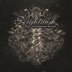 Nightwish: Our Decades in the Sun