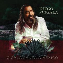 Diego El Cigala & La Sonora Santanera: Perfidia