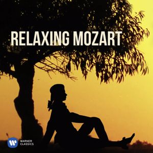 Sabine Meyer, Wiener Streichsextett: Mozart: Clarinet Quintet in A Major, K. 581 "Stadler": II. Larghetto
