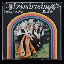Szivárvány Citerazenekar Mezőtúr: Dance Music from Szabolcs