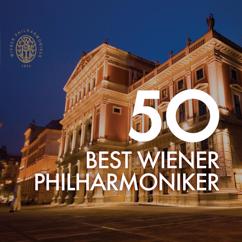 Wiener Philharmoniker/Wilhelm Furtwängler: Má vlast (1992 Digital Remaster): Vltava, B111 (1874)