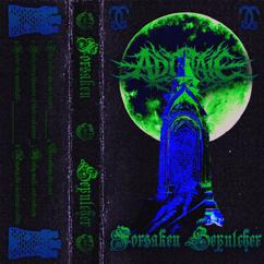 Adûnaic: Moldy Walls and Solitude