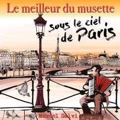 Marcel Salvi: Medley: Sous le ciel de Paris / La valse brune / La java bleue / Au plaisir des bois