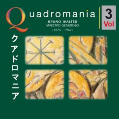 Bruno Walter, Wiener Philharmoniker: I. Un Poco Sostenuto. Allegro