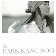 Park Kang Soo: Mirror