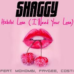 Shaggy feat. Mohombi, Faydee, Costi: Habibi Love (I Need Your Love)