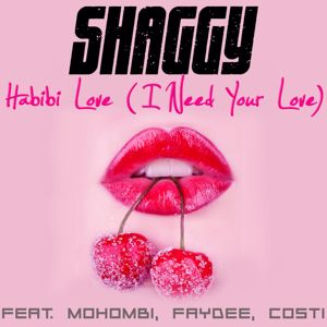 Shaggy feat. Mohombi, Faydee, Costi: Habibi Love (I Need Your Love)