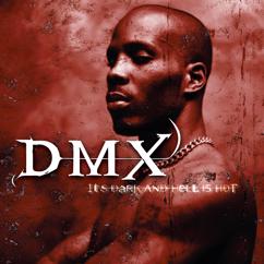 DMX: Crime Story