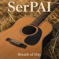 SerPAI: Anticipating Spring