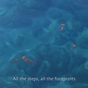 Javi Bustos: All the Steps, All the Footprints