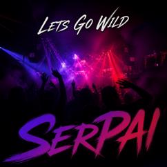 SerPAI: Deep Dive