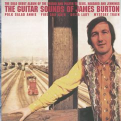 James Burton: I Know (You Don't Want Me No More)